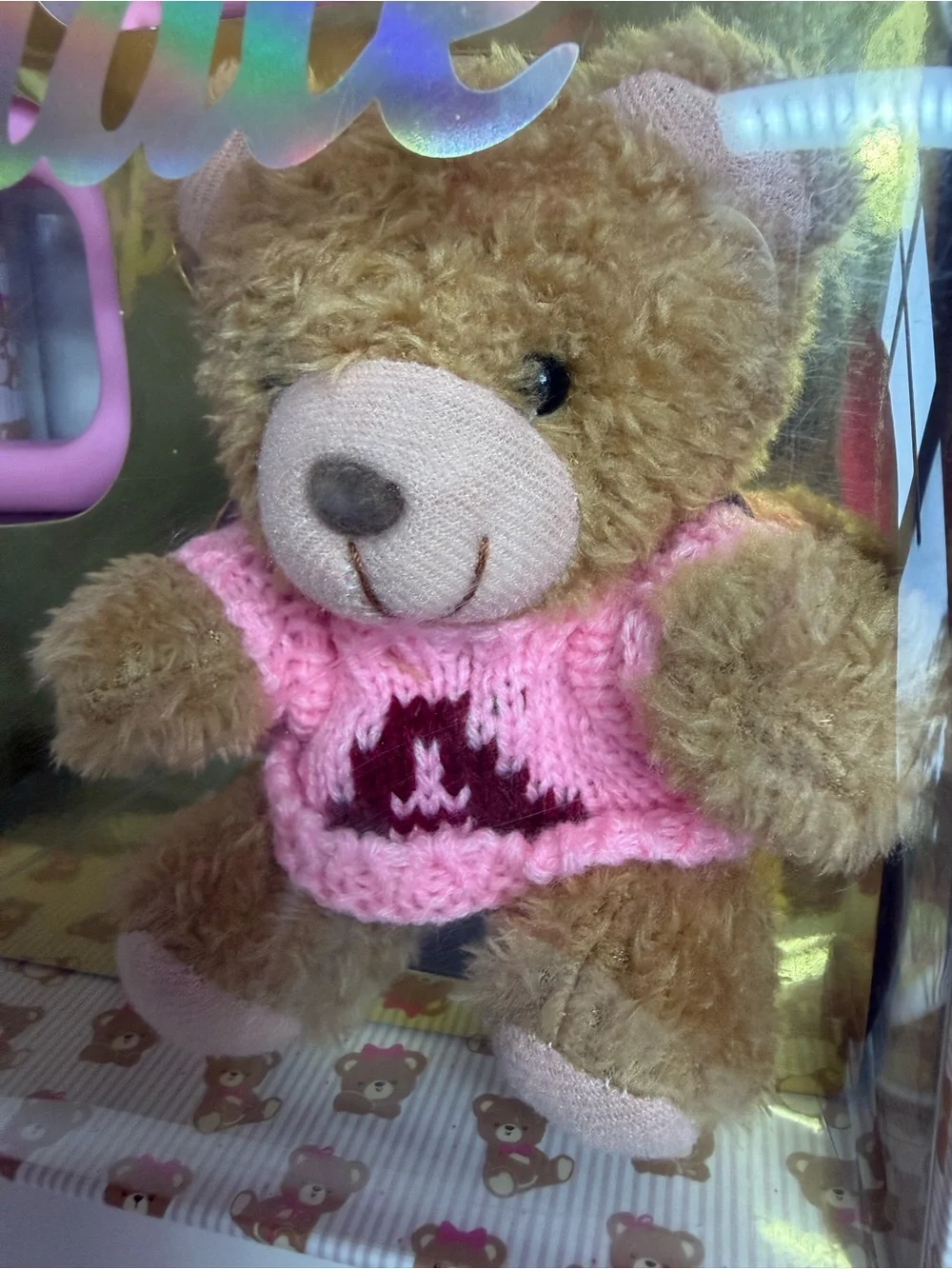 Aeropostale Pink Teddy Mug & Plush Gift Set
